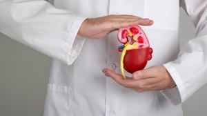 About kidney disease and home testing About kidney disease and home testing